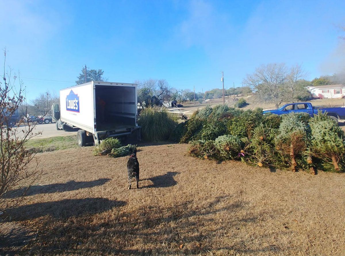 Lowe's Donating Christmas Trees