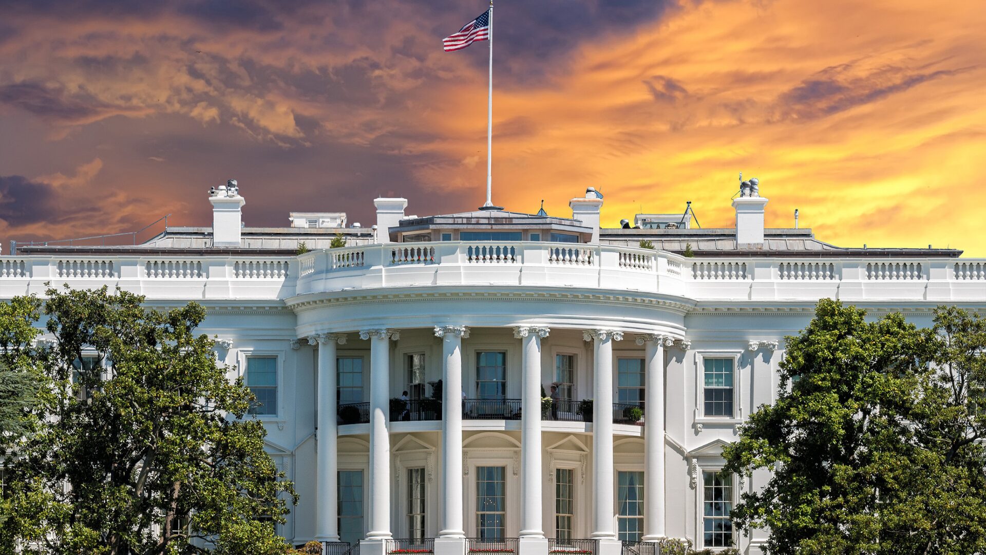 Unexpected Visitor Slips Through White House Fence During Busy Evening [WATCH]