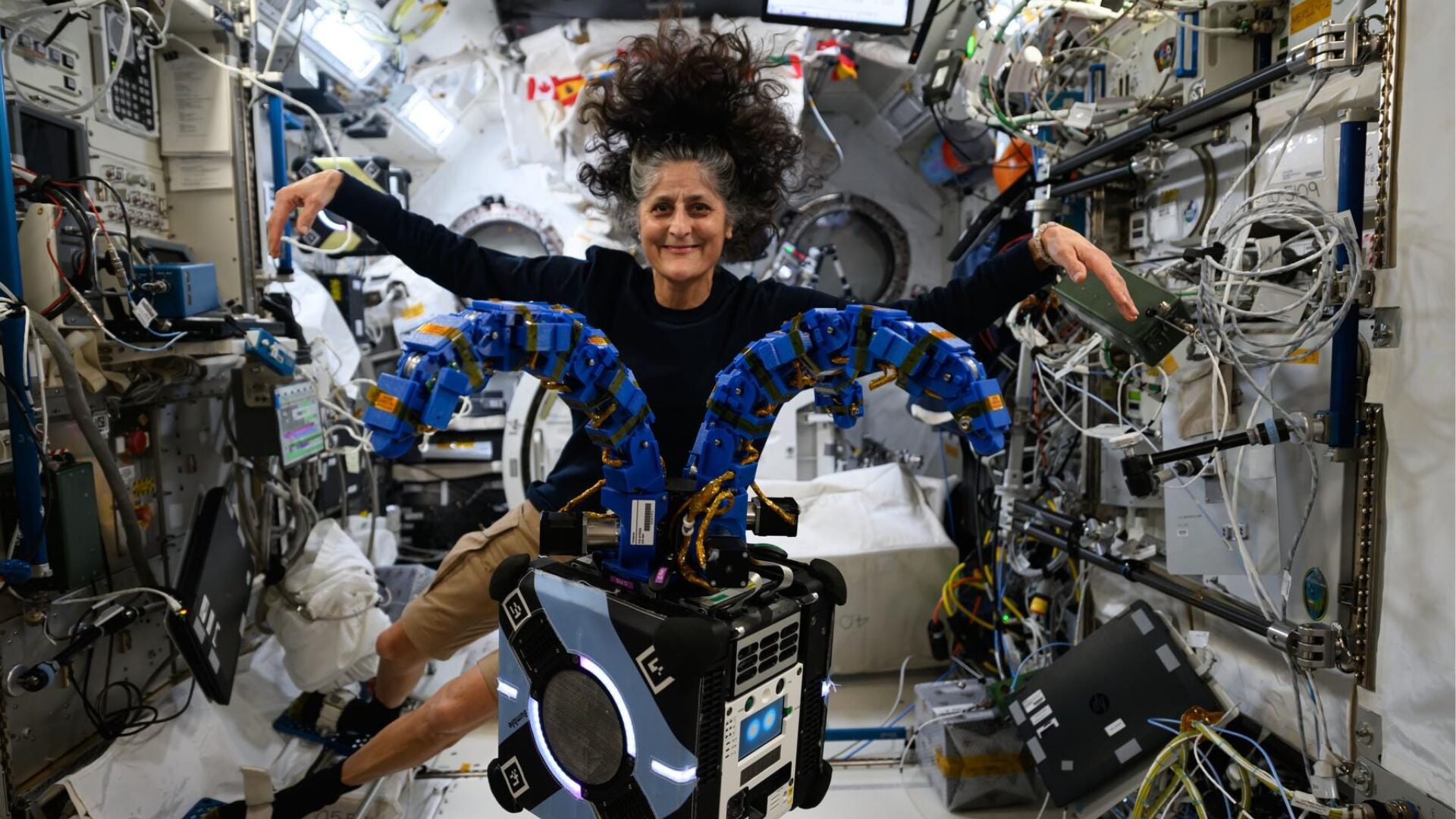 After 288 Days in Space, Astronaut’s Dogs Welcome Her Home—One More Enthusiastic Than The Other [WATCH]