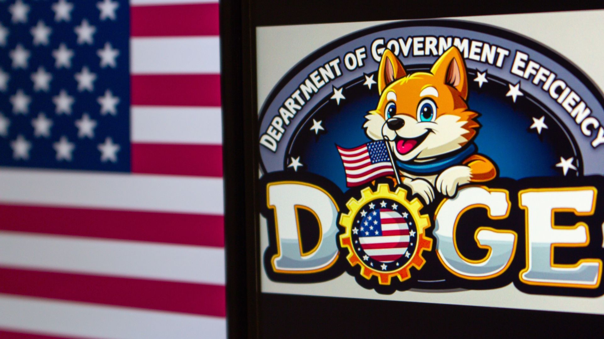DOGE Uncovers Major Contract Scam at The Department of Veteran Affairs