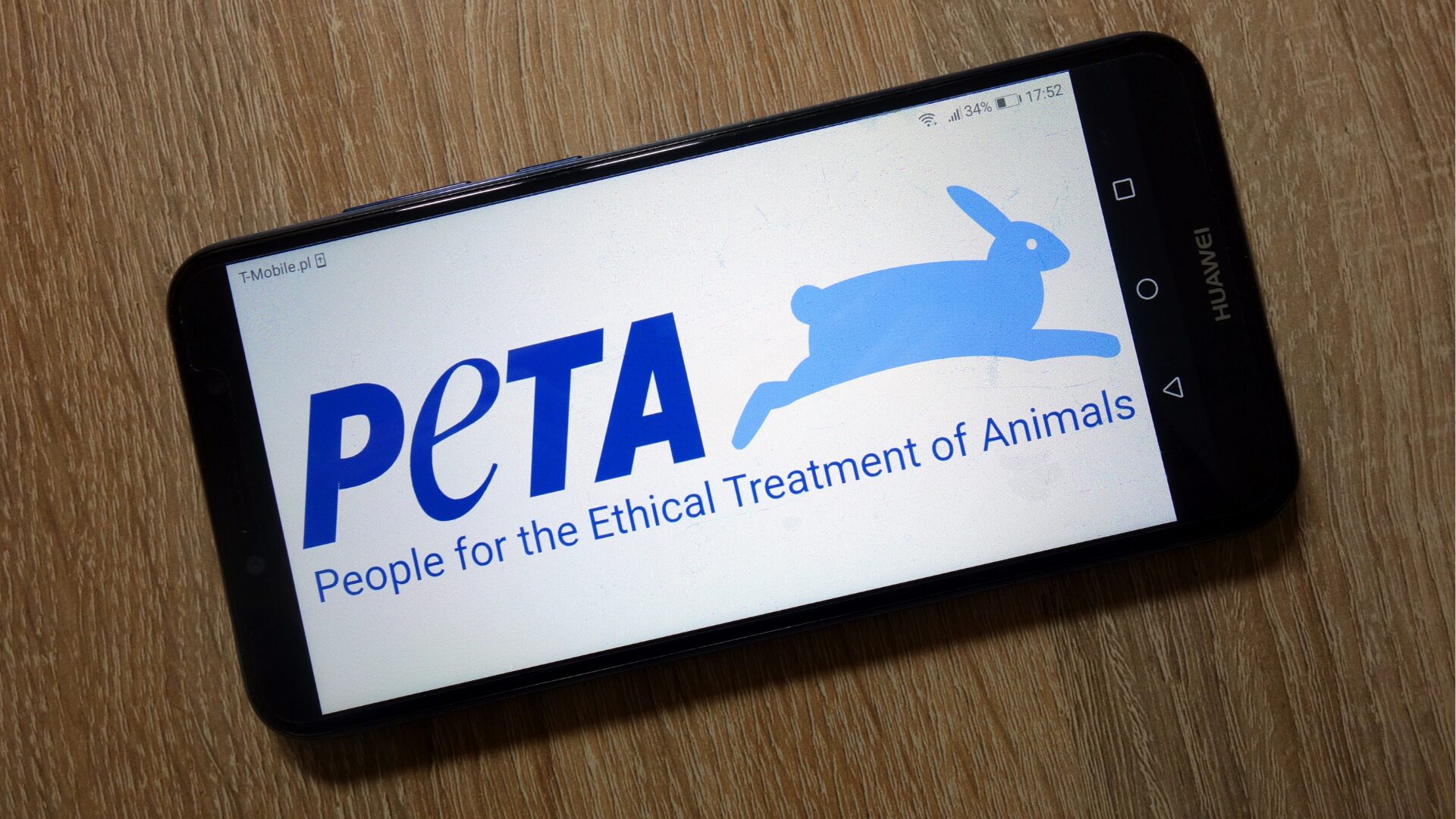 PETA Applauds NIH’s End to Beagle Testing—Omits Trump Admin’s Role Entirely [WATCH]