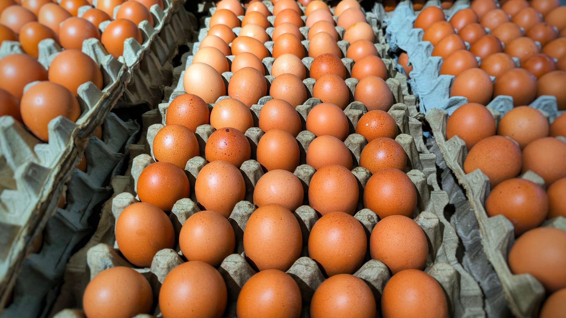Egg Prices Just Dropped More Than Any Time in History Since 1984 [WATCH]