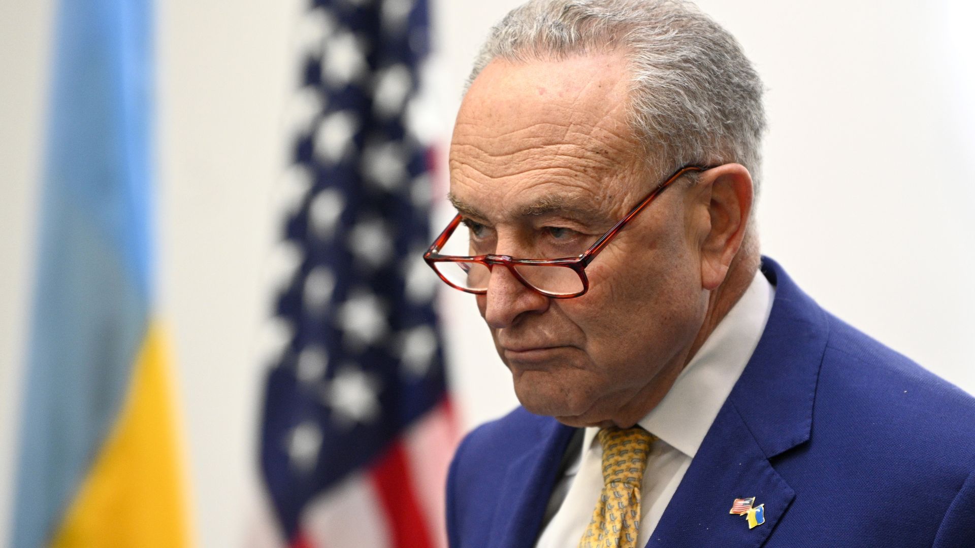 DHS Torches Chuck Schumer for Spreading Lies After Brooklyn Bridge Collision [WATCH]