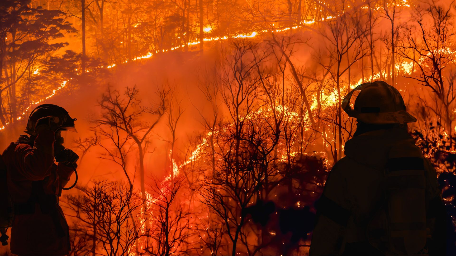 Idaho Killer Posted Chilling Photo Hours Before Ambushing Firefighters [WATCH]