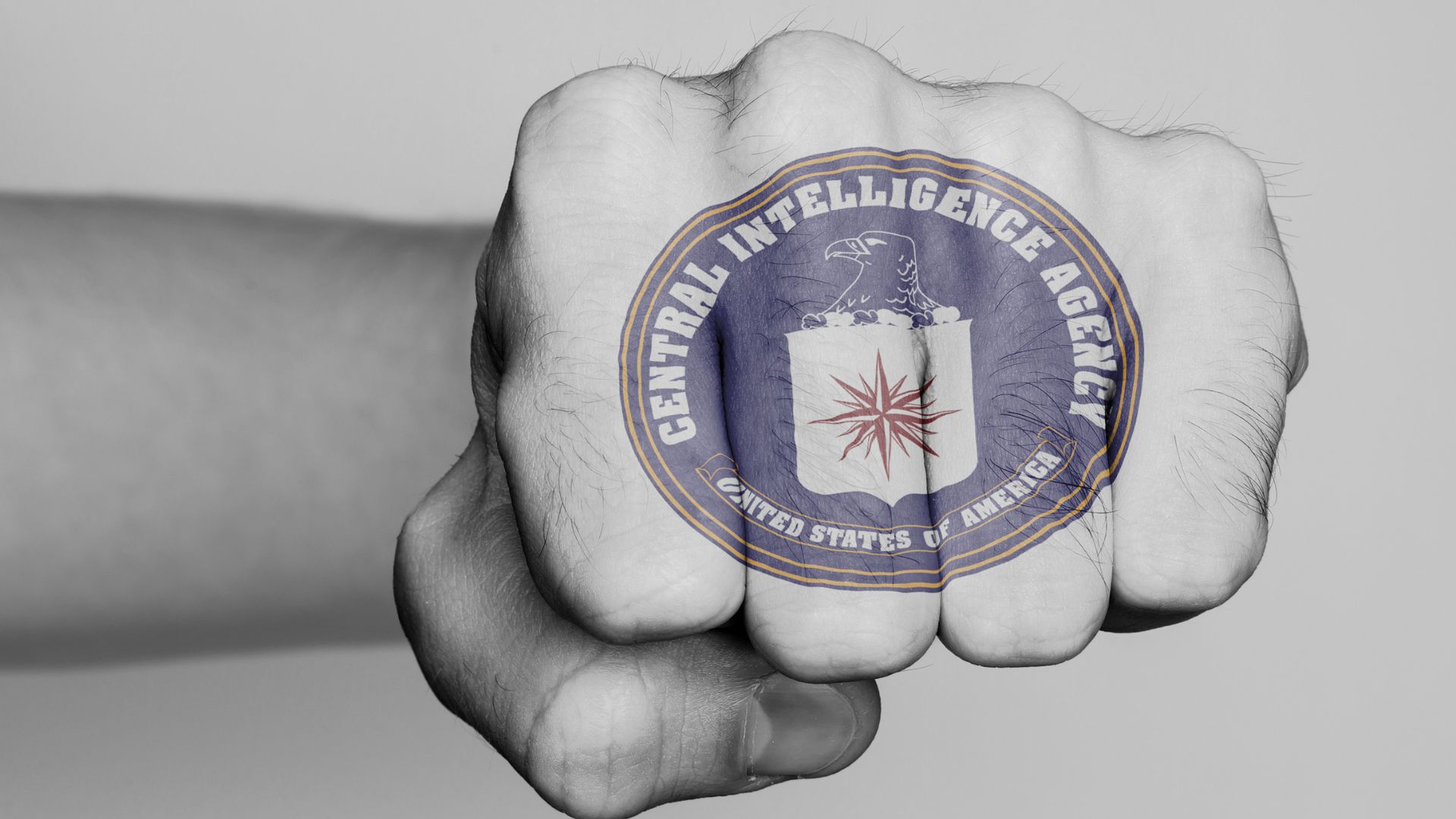 CIA ‘Declared War’ on Populist Movements, House Republicans Aren’t Helping: Mike Benz [WATCH]