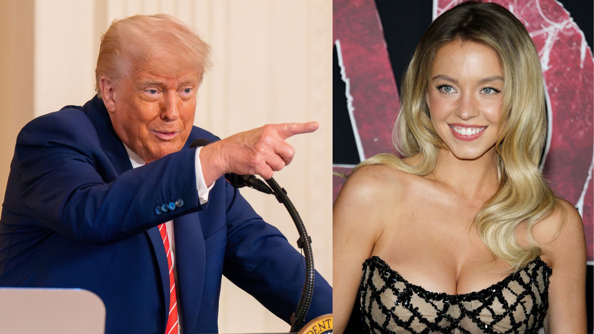 Trump Finds Out Sydney Sweeney is a Registered Republican, His Reaction is Classic [WATCH]