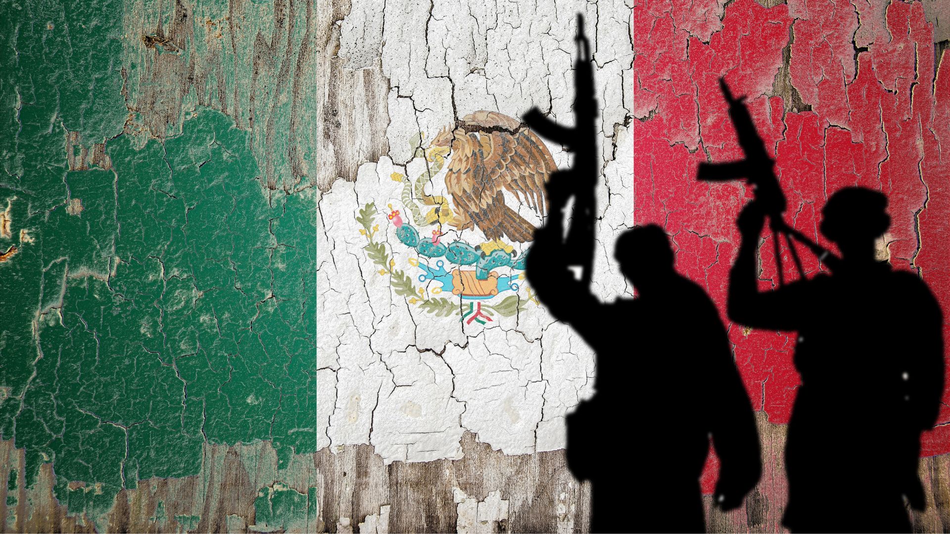 Brawl Erupts in Mexican Senate Over U.S. Military Role in Fighting Cartels [WATCH]