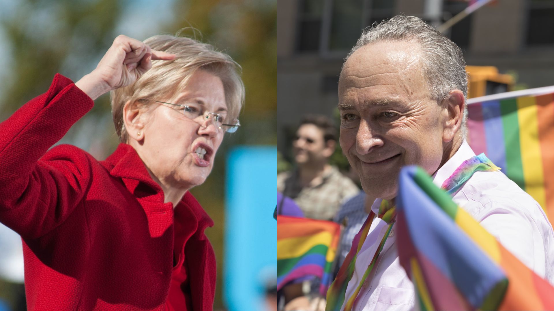 Chuck Schumer and Elizabeth Warren’s Own Words Come Back to Haunt Them as Shutdown Looms [WATCH]