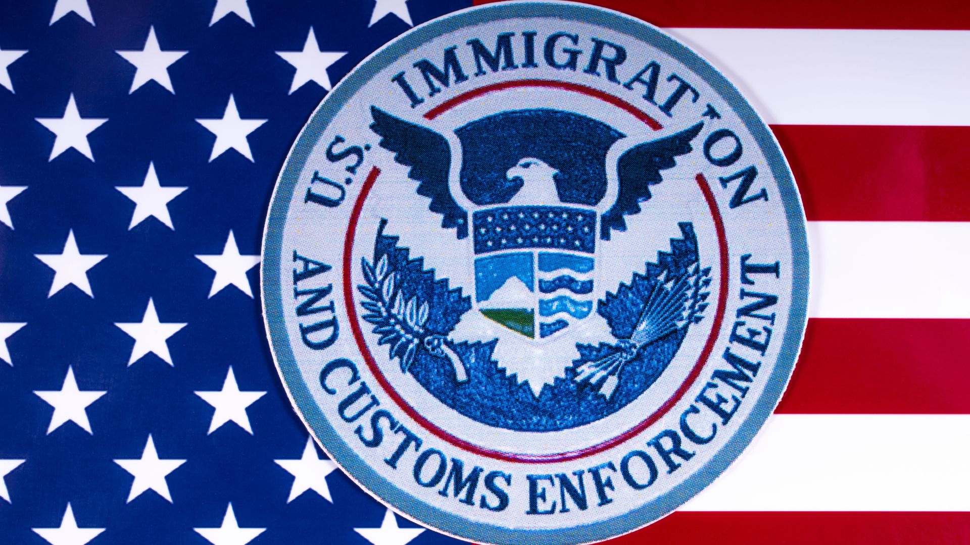 ICE Agent Takes Down Illegal Alien’s Wife, Gets Suspended Then Reinstated [WATCH]