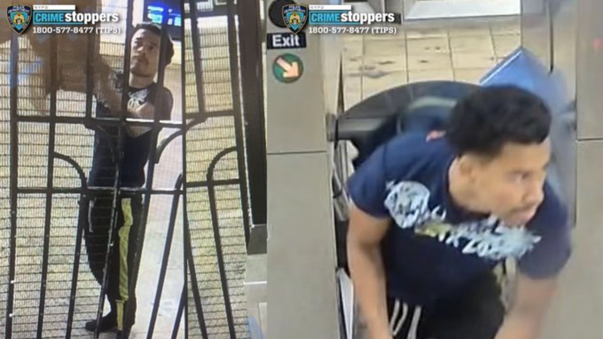 NYC Man With 33 Arrests Beats 64-Year-Old Stranger to Death on Subway [WATCH]