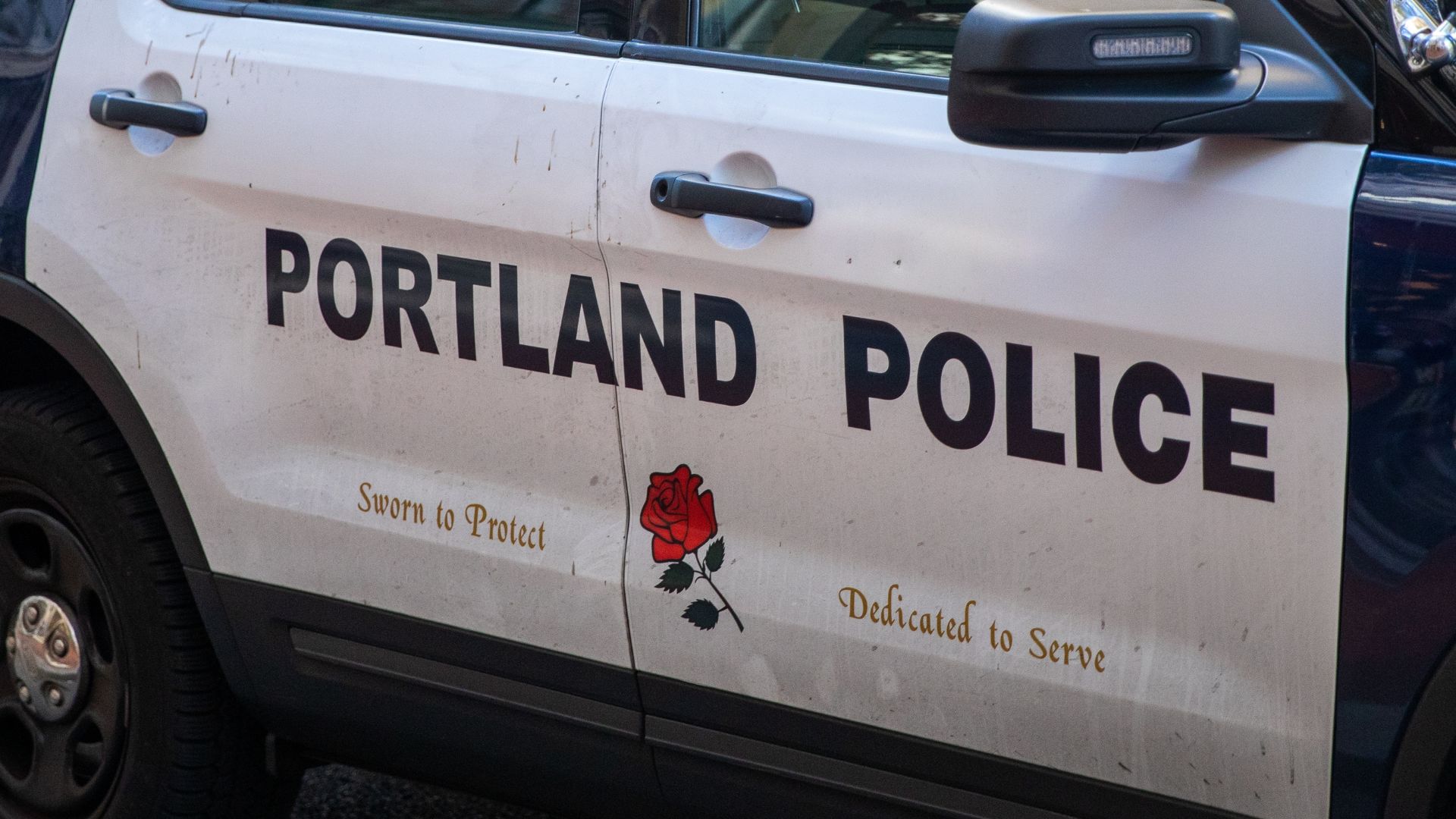 ‘Portland Police Exposed Themselves, Millions of People Are Paying Attention’: Nick Sortor [WATCH]