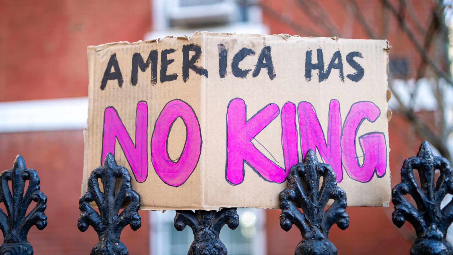 Soros-Funded ‘No Kings’ Protests Demand End to Private Schools Nationwide [WATCH]
