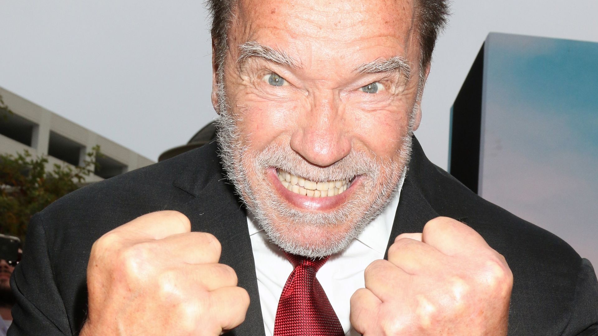 Arnold Schwarzenegger ‘Terminates’ Gavin Newsom and Jake Tapper on Gerrymandering [WATCH]