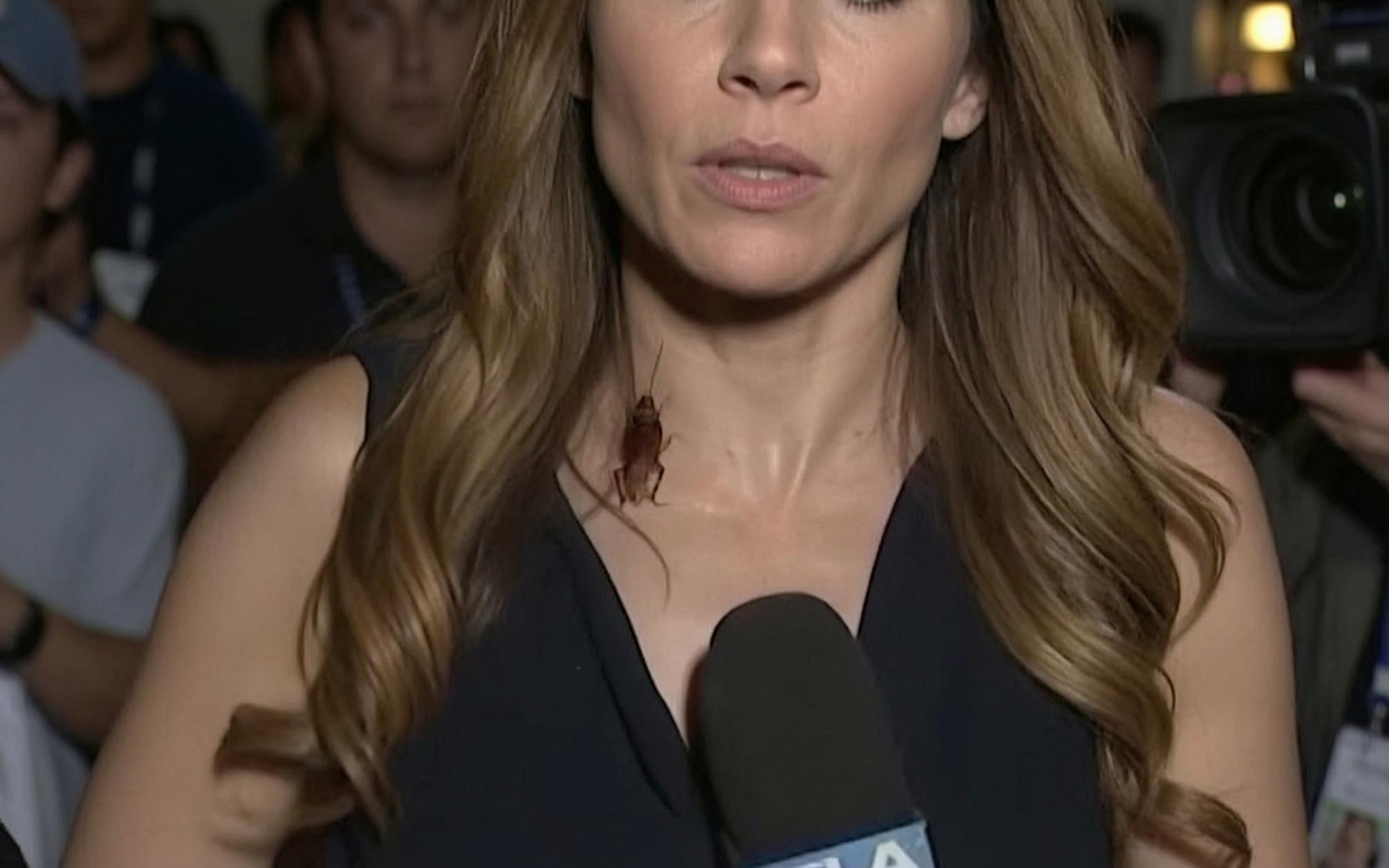 Cockroach Chaos Hits KTLA Reporter Live As Pratt Torches Filthy Los Angeles [WATCH]